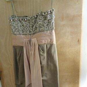 Victoria Royal Dress size 10 Taupe and Pink